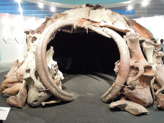 YUKAちゃんは冷凍マンモス : おひとりさま剣猫の Enjoy Nature