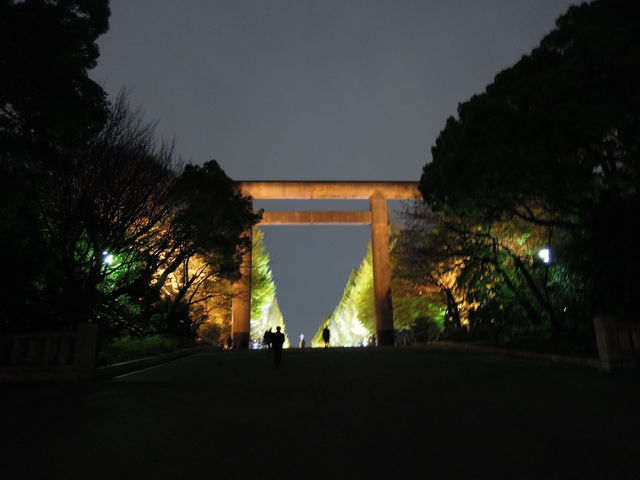 イチョウ並木のライトアップ 靖国神社参道 アウトドア剱猫の Enjoy おひとりさまライフ