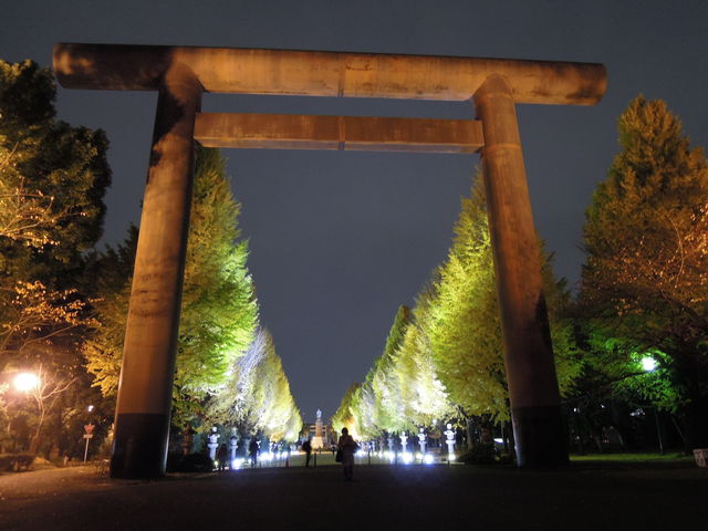 イチョウ並木のライトアップ 靖国神社参道 アウトドア剱猫の Enjoy おひとりさまライフ