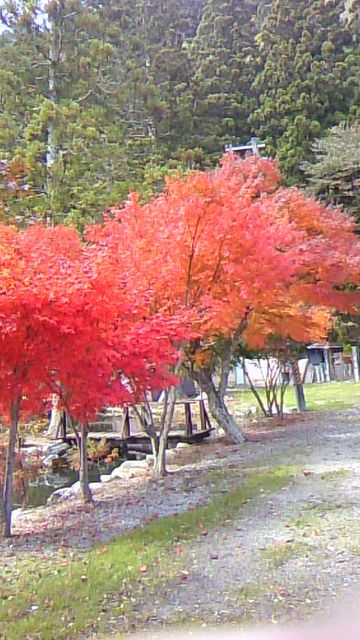 紅葉と氷河期の絶妙な関係 剱猫のおひとり様アウトドア 紅葉と氷河期の絶妙な関係 剱猫のおひとり様アウトドア
