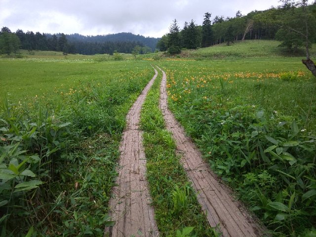 天気 予報 尾瀬