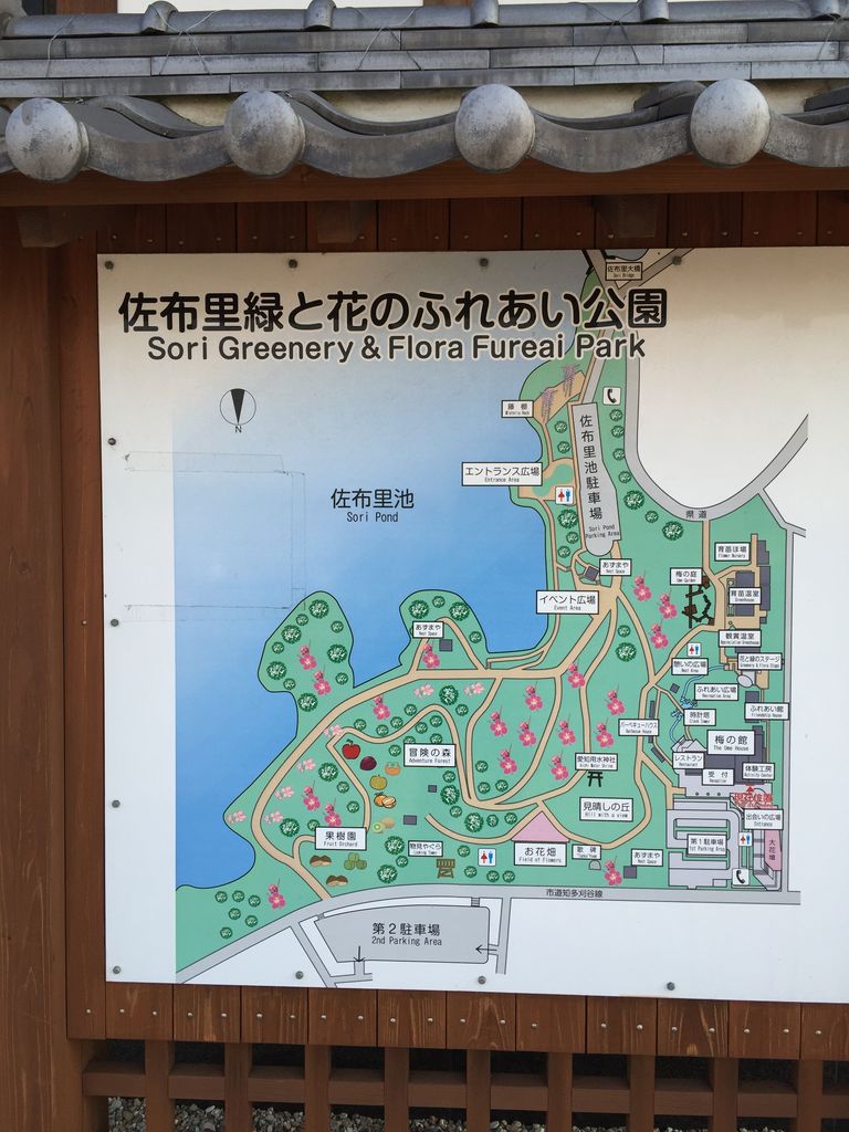 知多市の佐布里池は梅林が満開でした 愛知県 名古屋市内 岐阜県 三重県の古本買取 出張買取 本の処分は鶴亀堂書店