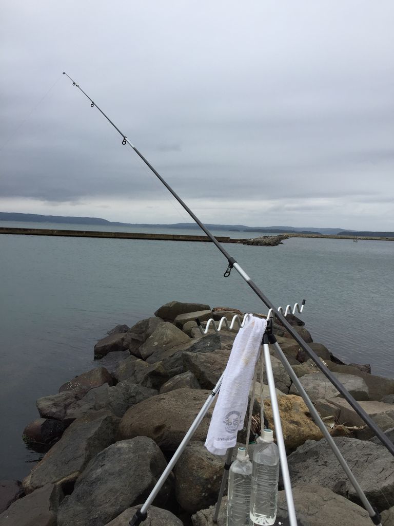 石川県能登島への釣り紀行 前編イイダコ 愛知県 名古屋市内 岐阜県 三重県の古本買取 出張買取 本の処分は鶴亀堂書店