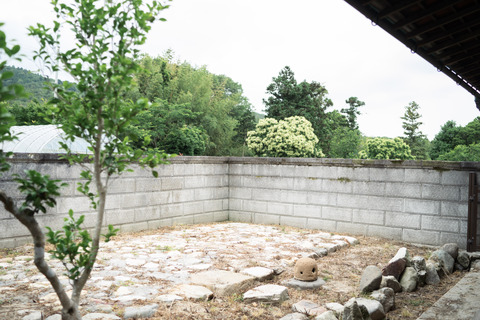 11-DSC08345