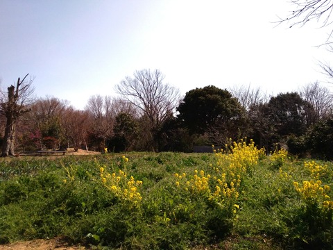 P_20190226_122144_1