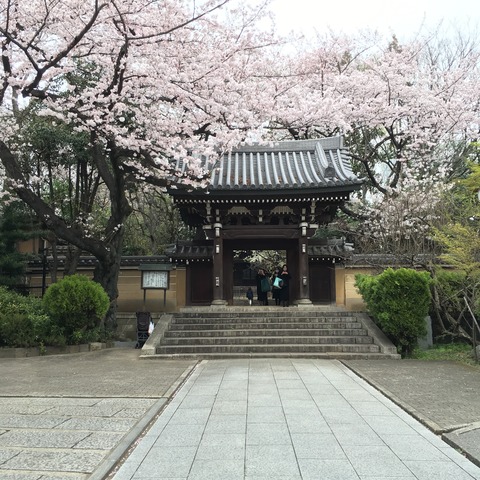 55 HDR-4