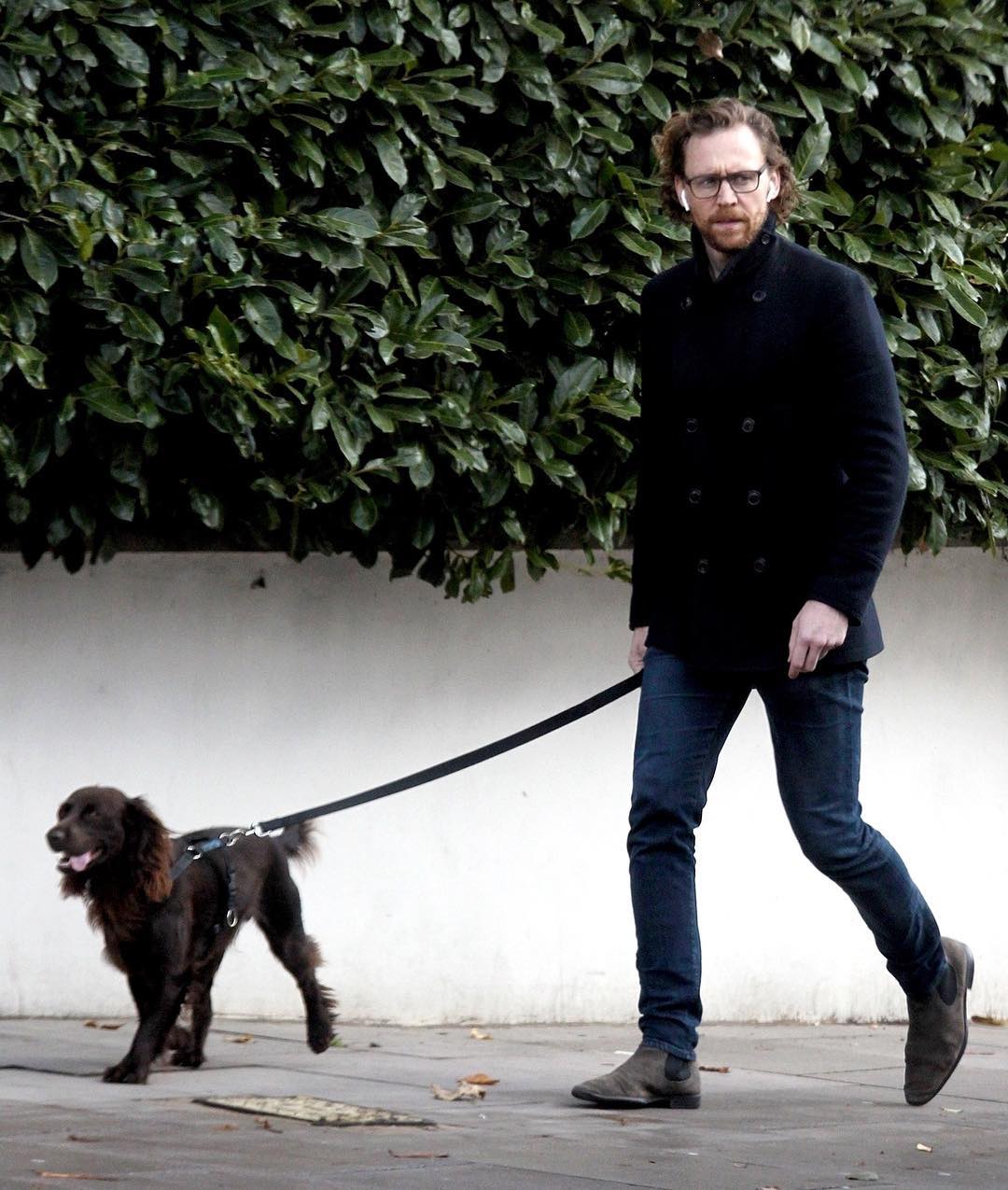 犬を散歩中のトム ヒドルストン メンズセレブファッションニュース