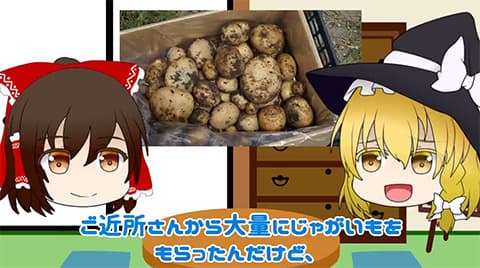 ジャガイモを主食にしてる奴いる？