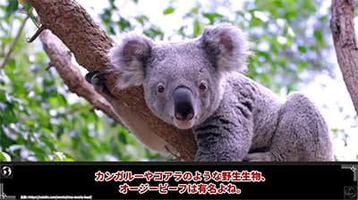 オーストラリアってどんなイメージ？