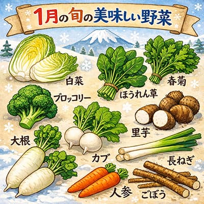1月に売ってる旬で美味しい野菜ある？