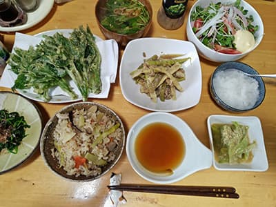 53歳オッサンの晩飯がこちら