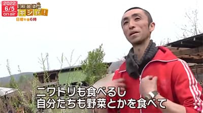 そろそろ本気で自給自足の訓練を始めるわ