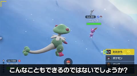ポケモン図鑑コンプリートって過酷すぎるだろ