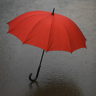 100年後も無くならないもの