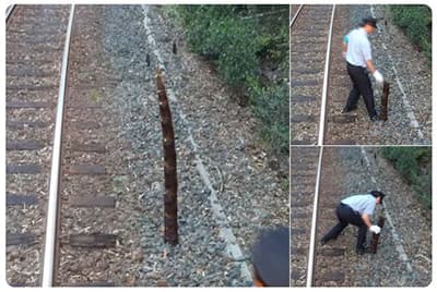 線路にタケノコ