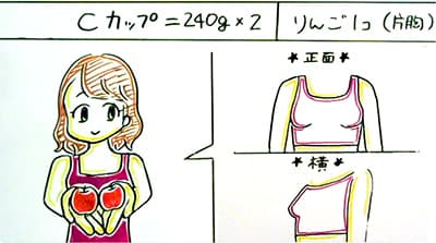 148センチCカップってどうですか