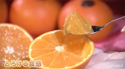 農家で生きていくって大変なのか？