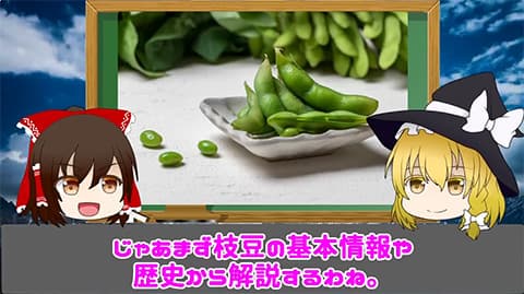 一生その野菜しか食えませんってなったら何とは選ぶ？