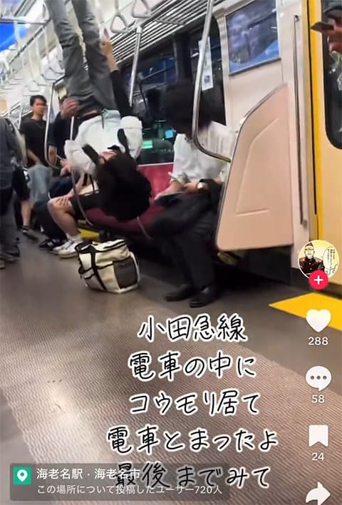 小田急線の車内にコウモリ現わる