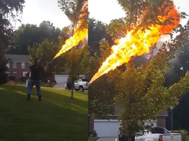 ハチの巣を燃やす業者