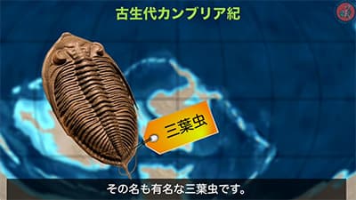 三葉虫「進化速くて適応しまくりです、あらゆる海にいます」→絶滅した理由