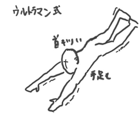 飛べるようになったときに備えて、ポーズを考えておきたい