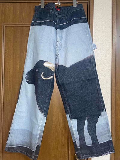 かっこいいズボン、届いた