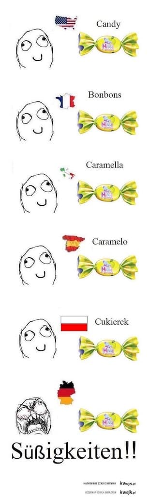 世界の言語比較