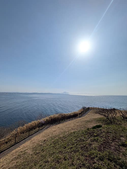 岬