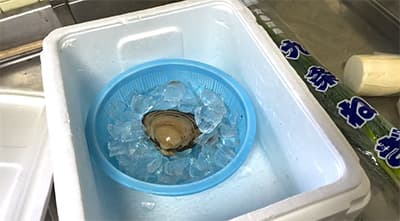 貝の美味しさが全然分からん