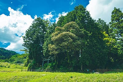 田舎にある謎のエリアｗｗｗ
