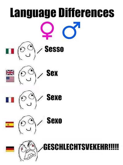 世界の言語比較