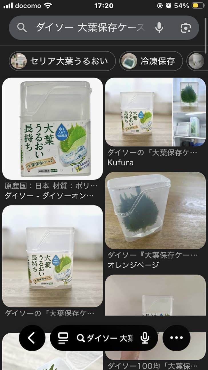 大葉保存ケース