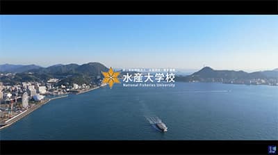 水産大学校の学生だけど質問ある？