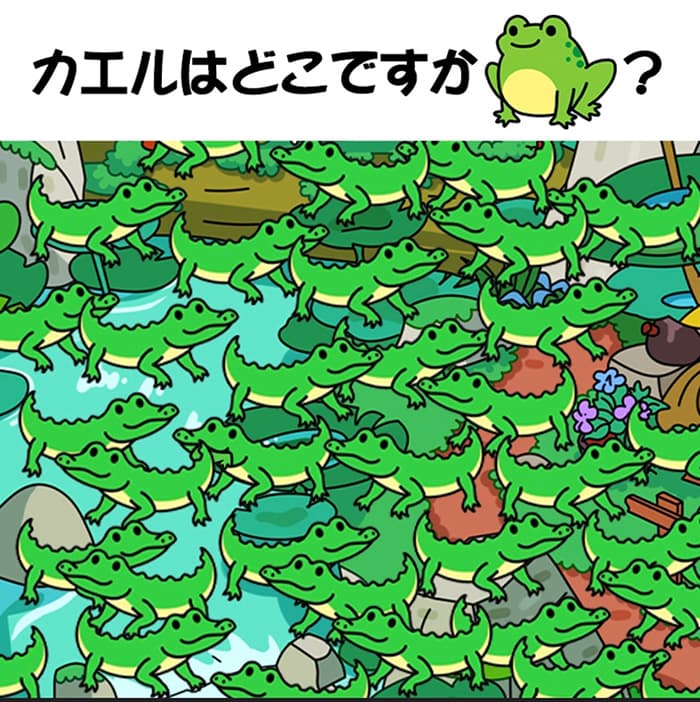カエルはどこですか?
