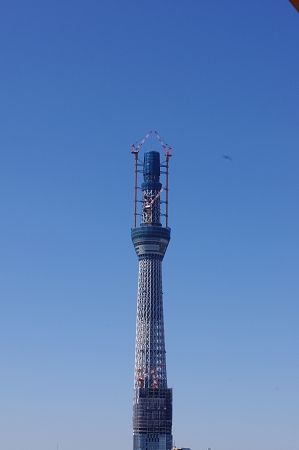 夜空のスカイツリーにufo接近 の巻 まゆげ猫 桃太郎の日記 夜空のスカイツリーにufo接近 の巻 まゆげ猫 桃太郎の日記