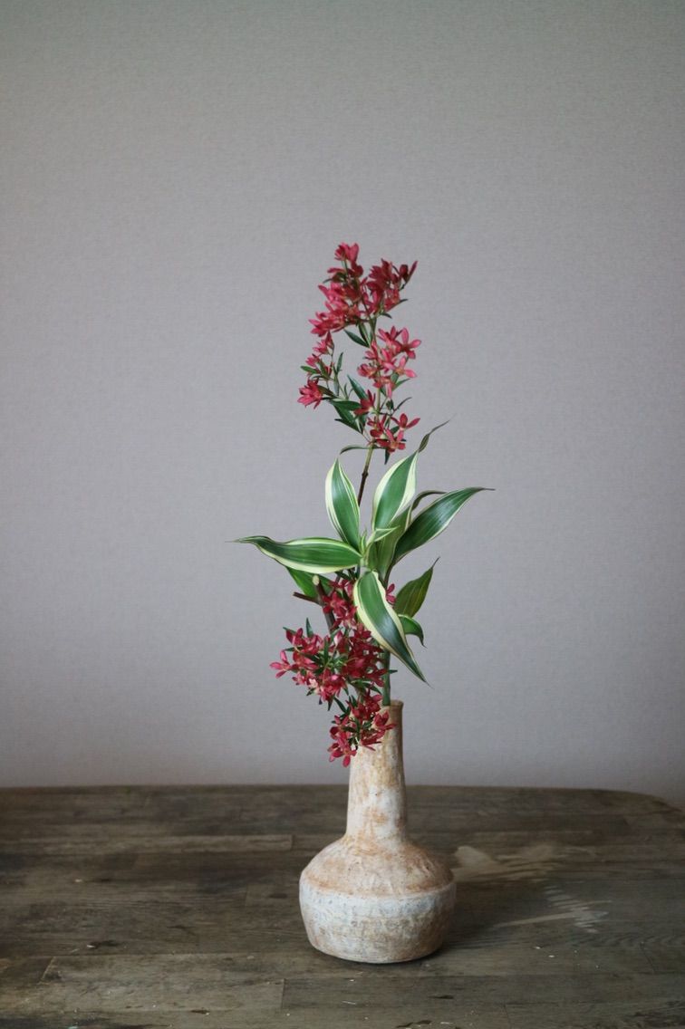 クリスマスをいける 小原流いけばな教室 花ならいのこと クリスマスをいける 小原流いけばな教室 花ならいのこと