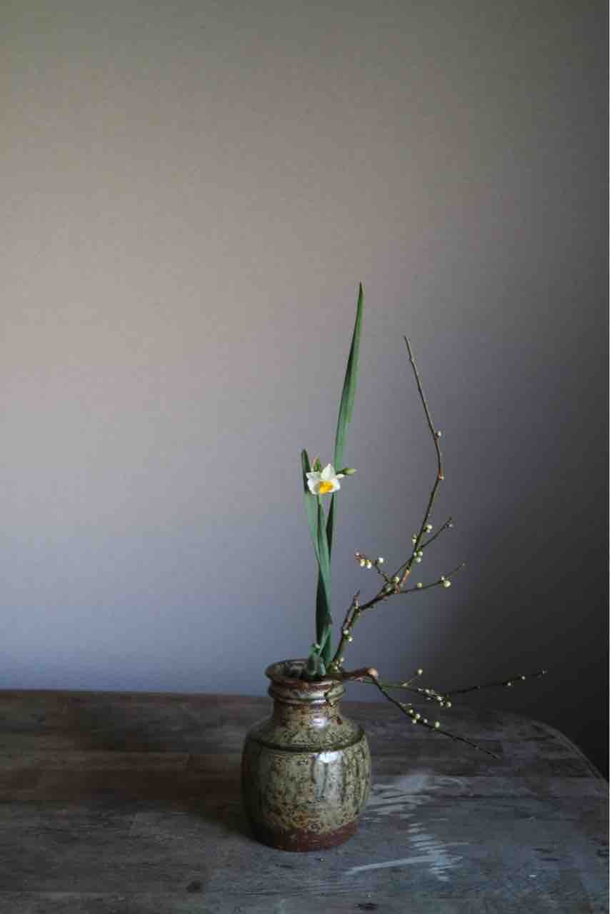 梅と水仙 小原流いけばな教室 花ならいのこと