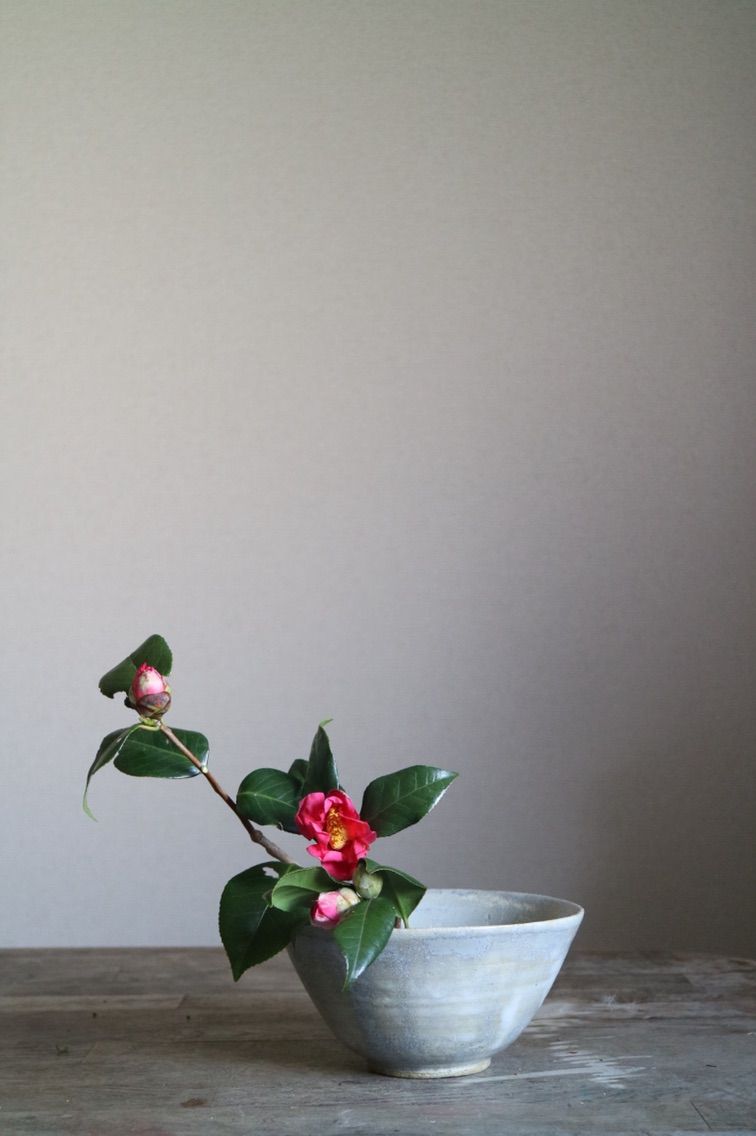 椿をいける 小原流いけばな教室 花ならいのこと 椿をいける 小原流いけばな教室 花ならいのこと