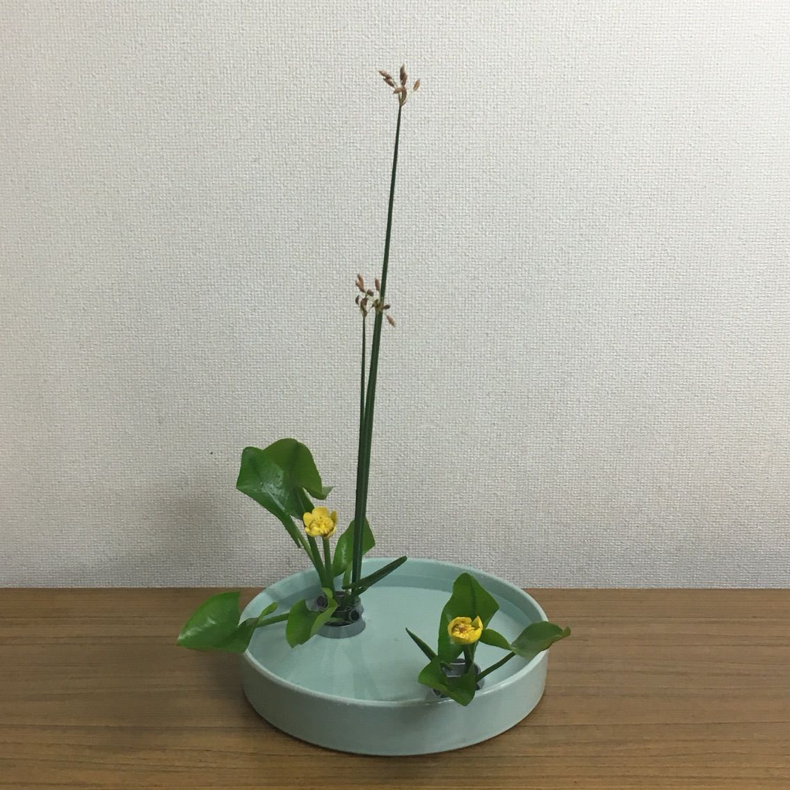 河骨をいける 小原流いけばな教室 花ならいのこと