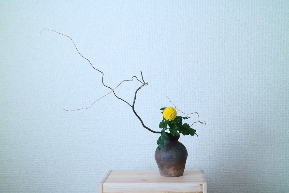 雲竜柳をいける 小原流いけばな教室 花ならいのこと 雲竜柳をいける 小原流いけばな教室 花ならいのこと