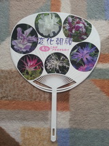 �Ѳ�ī��޴դ������ɽ��