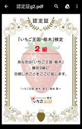 ¡Ö¤¤¤Á¤´²¦¹ñ¡¦ÆÊÌڡ׸¡Äê 2µéǧÄê¾Ú