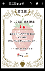 ¡Ö¤¤¤Á¤´²¦¹ñ¡¦ÆÊÌڡ׸¡Äê 1µéǧÄê¾Ú