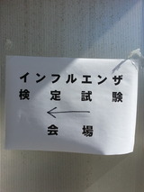 ����ե륨�󥶸������