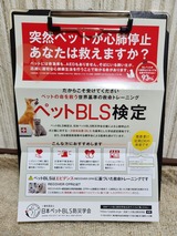 ¥Ú¥Ã¥ÈBLS¸¡Äê