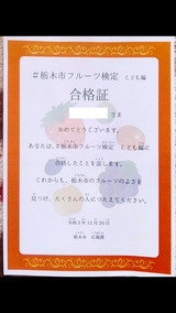 �����ڻԥե롼�ĸ��� ���ɤ��� ��ʾ�