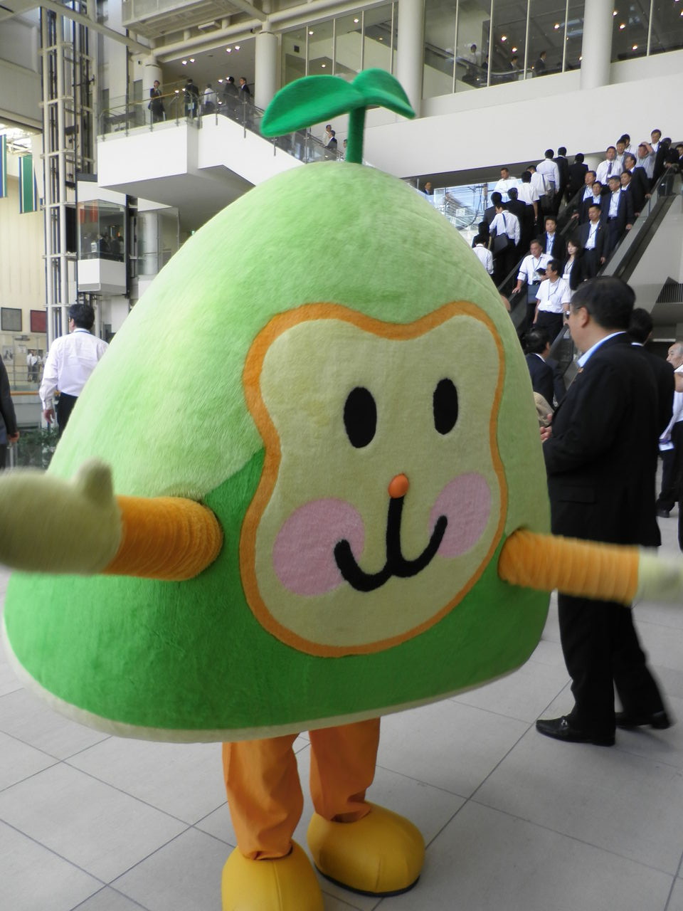 高崎山と たかもん 富津市議会議員 渡辺つとむ 活動日記