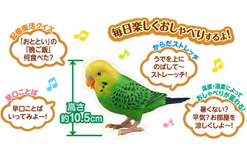 毎日おしゃべり 天才インコちゃん