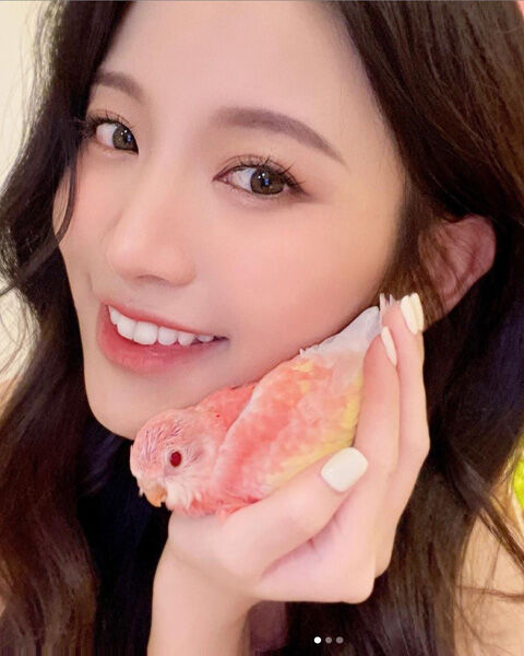蔡瑞雪SNOWBABY13